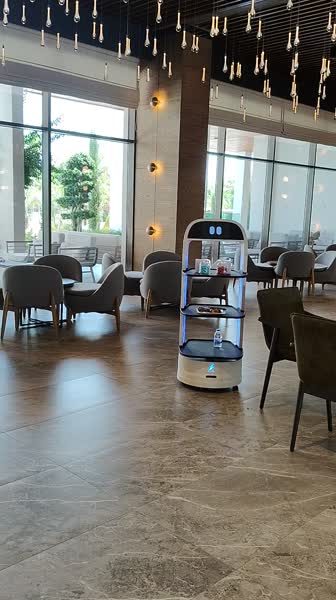 Hotel videos Sural Saray 5*
