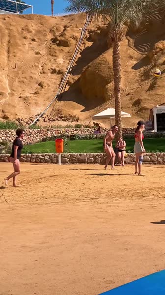 видео из отзыва ID 2720316