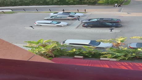 видео из отзыва ID 2720275