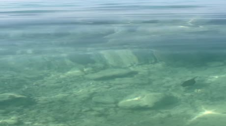 Видео из отеля Club El Faraana Reef 4*