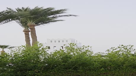 Видео из отеля Mercure Hurghada 4*