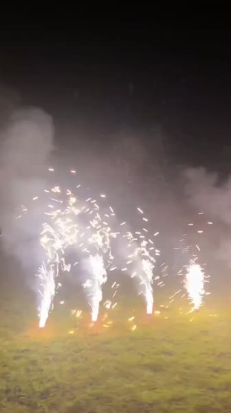 видео из отзыва ID 2722242