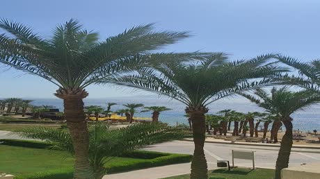 Видео из отеля Grand Rotana Resort & Spa 5*
