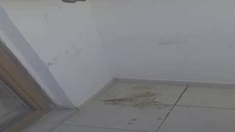 видео из отзыва ID 2722533