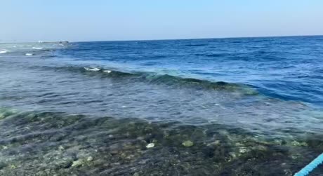 видео из отзыва ID 2722726