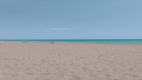 видео из отзыва ID 2722749