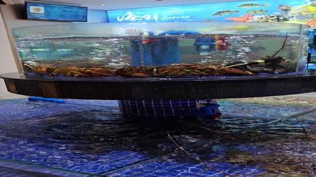 видео из отзыва ID 2723477