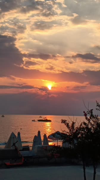 видео из отзыва ID 2634887