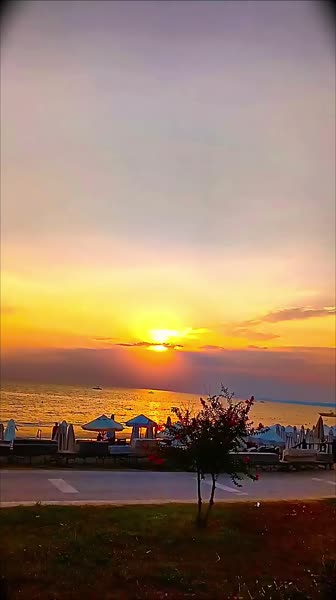 видео из отзыва ID 2634887