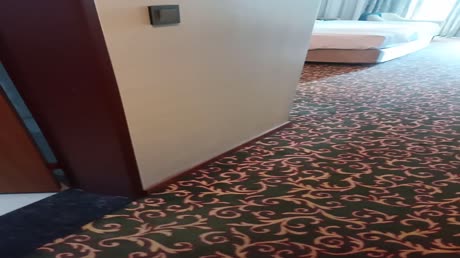 Hotel videos Ozkaymak Select Resort 5*
