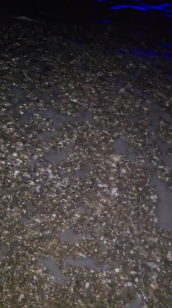 видео из отзыва ID 2725676