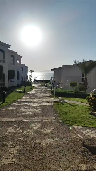 видео из отзыва ID 2726081