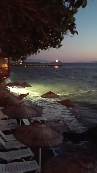 видео из отзыва ID 2726665