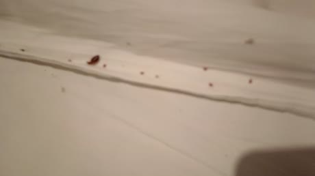 Hotel videos
