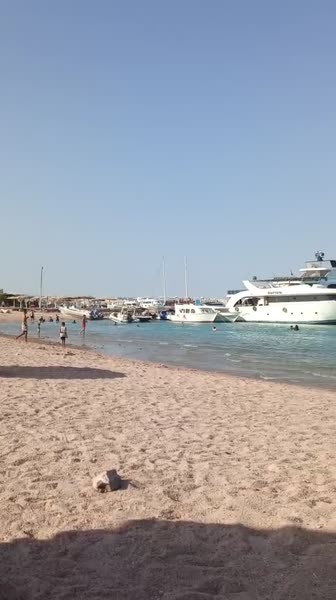 Видео из отеля La Rosa Boho Aqua park Hotel 3*