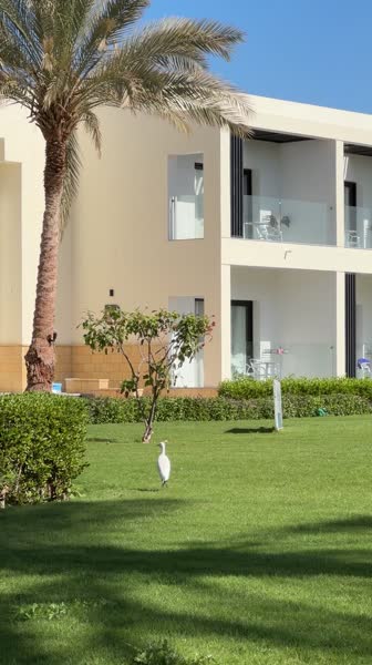 видео из отзыва ID 2727828