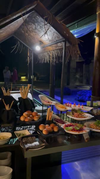 видео из отзыва ID 2727779