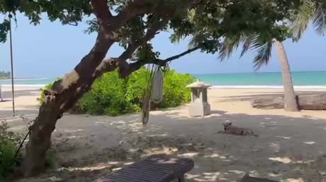 видео из отзыва ID 2727779