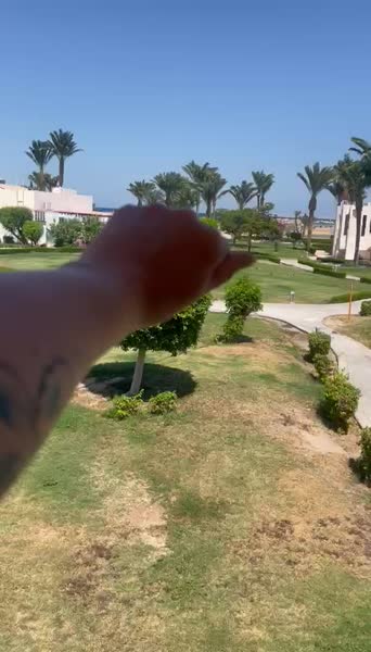 видео из отзыва ID 2728296