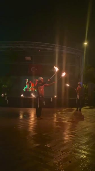 видео из отзыва ID 2728768