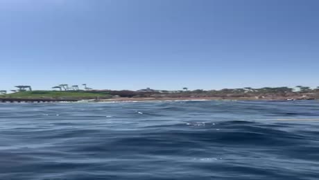 Видео из отеля Nubian Island 5*