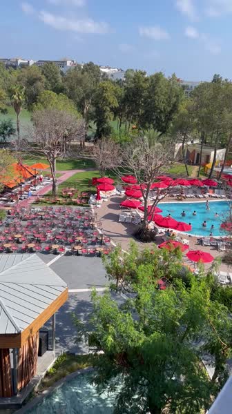 видео из отзыва ID 2730969