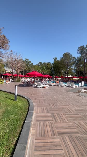 видео из отзыва ID 2730969