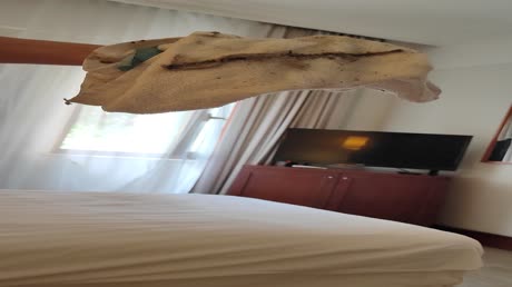 Hotel videos Turquoise Resort Hotel & SPA 5*