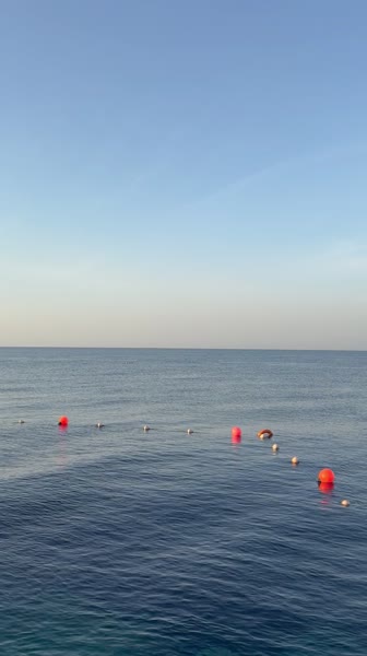 видео из отзыва ID 2731409