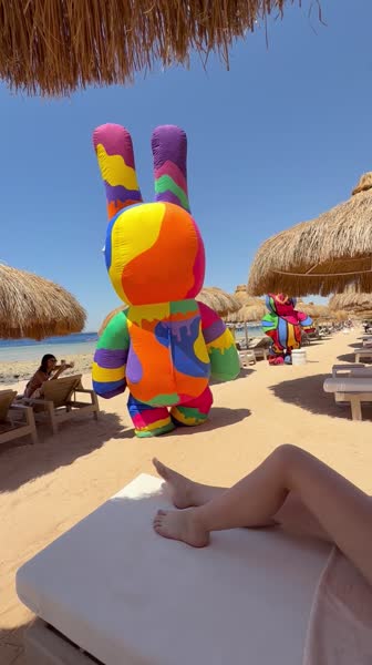 видео из отзыва ID 2731409