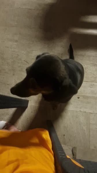 видео из отзыва ID 2731872