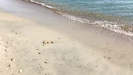 Hotel videos