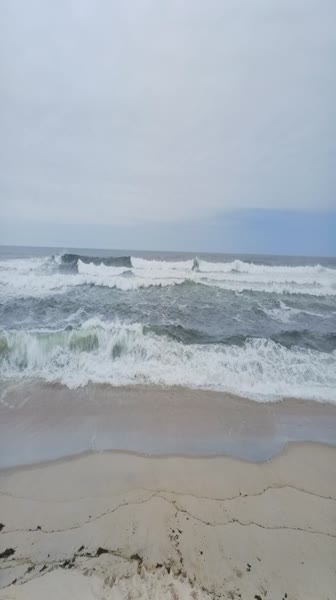 video 192539