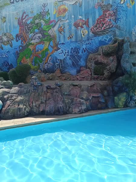 видео из отзыва ID 2732780