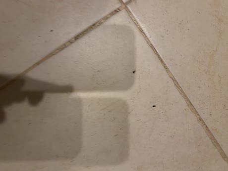 Hotel videos