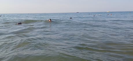 видео из отзыва ID 2638087