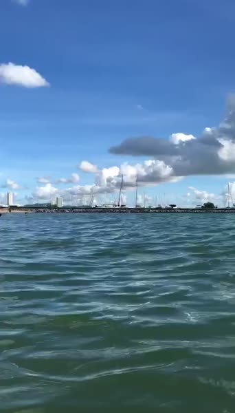 видео из отзыва ID 2642588