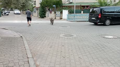 Видео из отеля