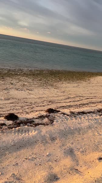 видео из отзыва ID 2645185