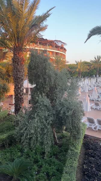 видео из отзыва ID 2645351