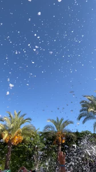 видео из отзыва ID 2645969