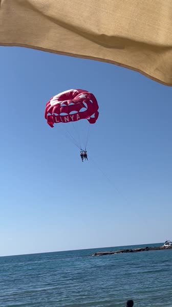 видео из отзыва ID 2645969