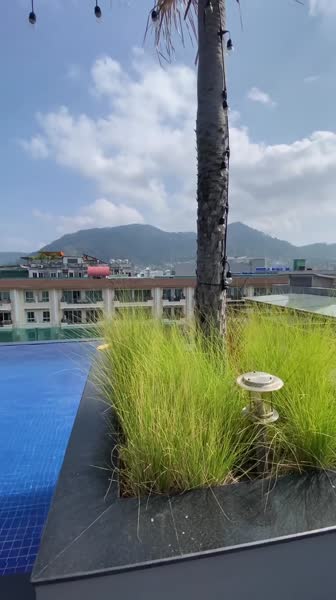 Видео из отеля Best Western Phuket Patong Beach
