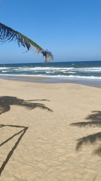 Видео из отеля Radisson Resort Phan Thiet 5*