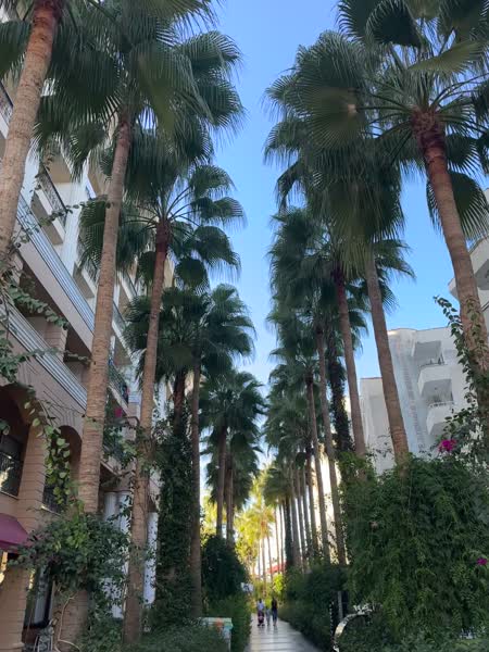 видео из отзыва ID 2653200