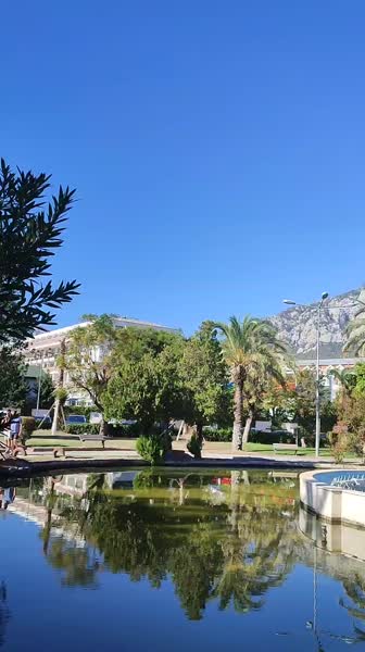 видео из отзыва ID 2653502