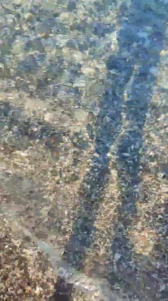 видео из отзыва ID 2653502