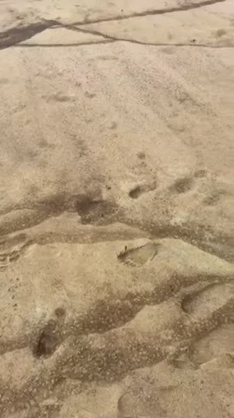 видео из отзыва ID 2630462