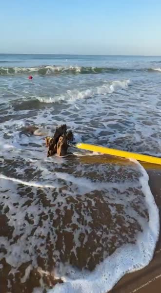 видео из отзыва ID 2656786