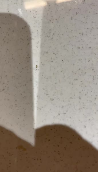 видео из отзыва ID 2657635